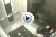 (Vidéo) voilà ce qui peut arriver à un chien qui prend l'ascenseur (Vidéo) voilà ce qui peut arriver à un chien qui prend l'ascenseur